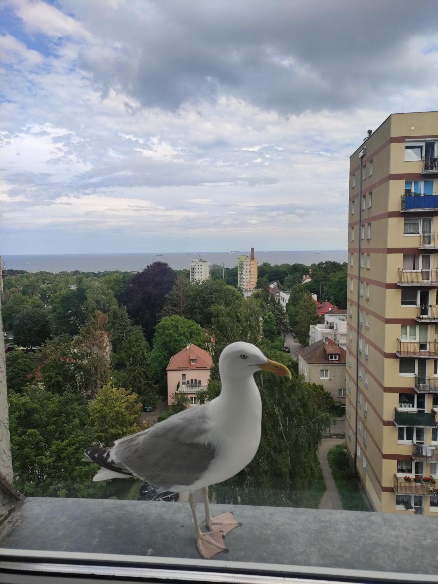 Apartamento Apartament Widokowo Sopot Exterior foto